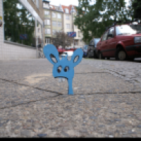 Hase 2