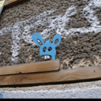 Hase 3