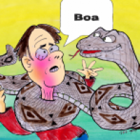 Boa 1
