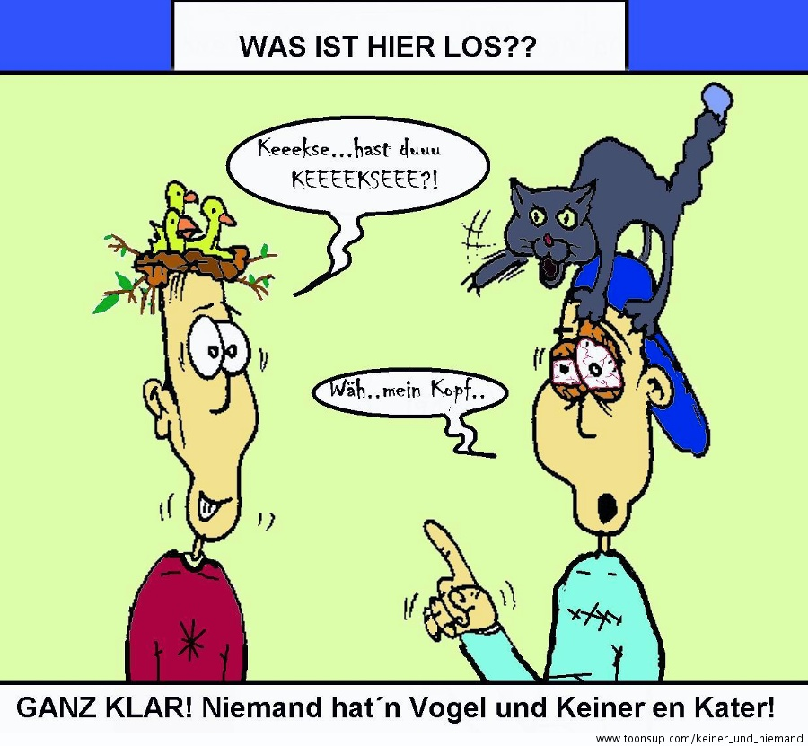 Cartoon: Keiner und Niemand Storyz 38