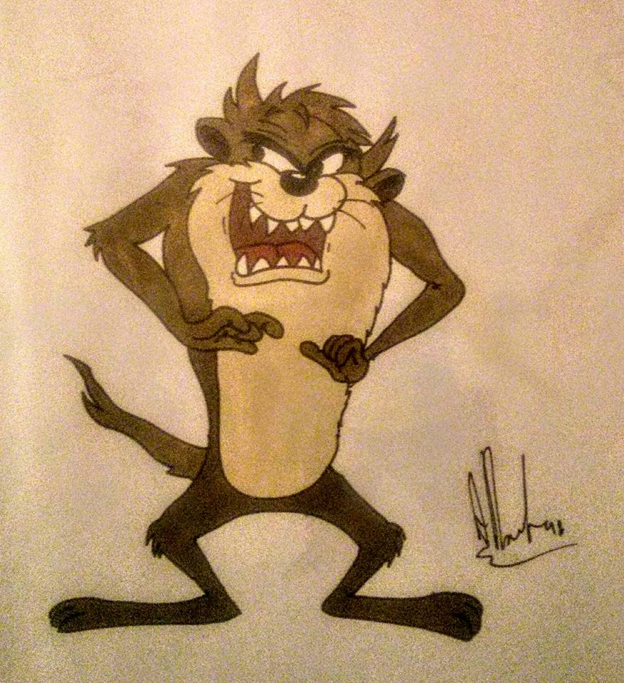 Cartoon: Taz the tasmanian devil 1