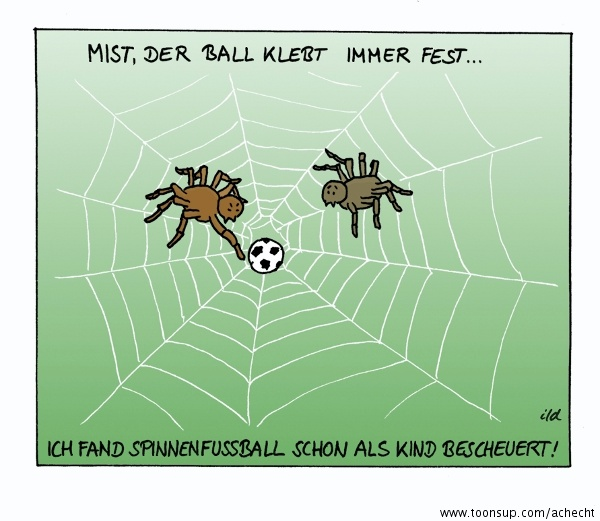 Cartoon: Spinnen-Fußball bescheuert 1