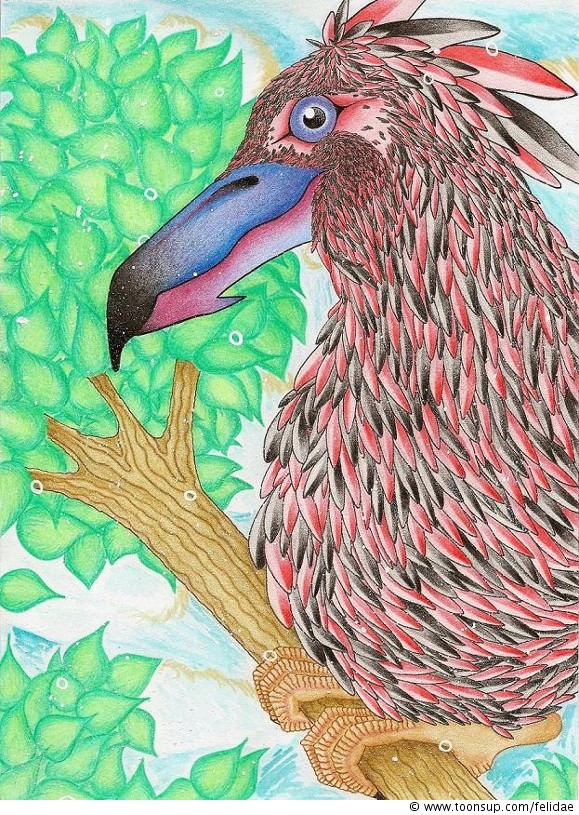Illustration: my crazy bird 1