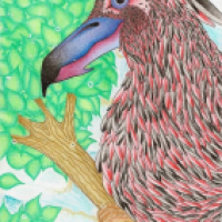 my crazy bird