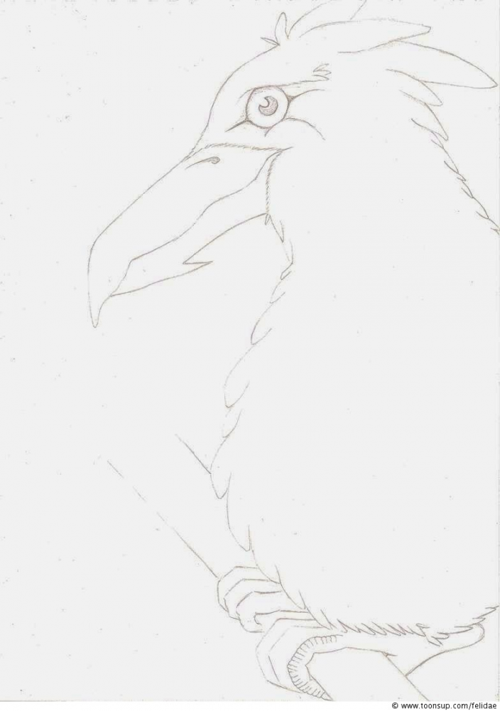 Illustration: Schritt für Schritt 1