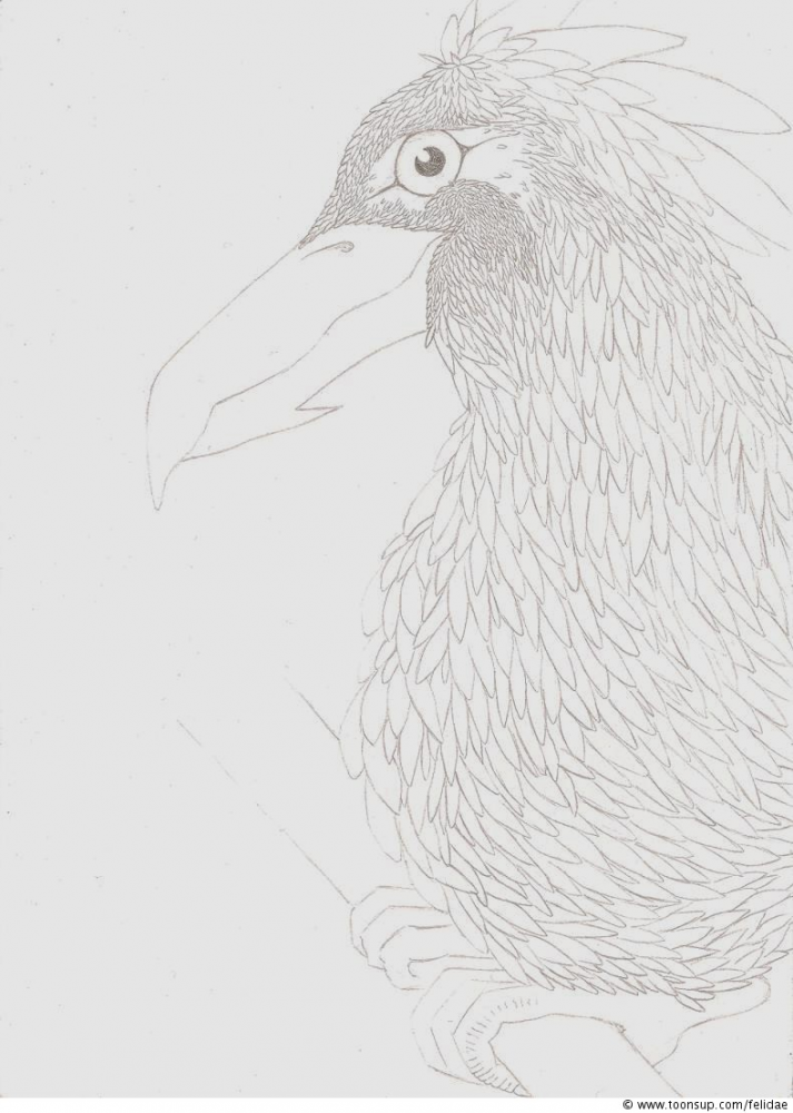 Illustration: Schritt für Schritt 2