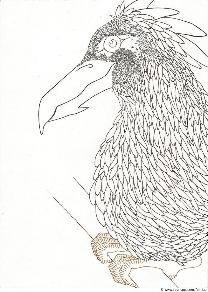 Illustration: Schritt für Schritt 3