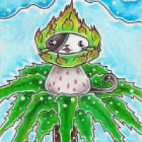 KaKAO # 109 Kitty or Dragonfruit