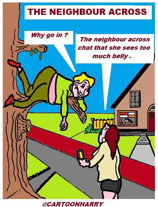 Cartoon: Neighbour Across 1