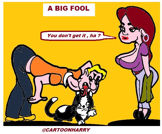 Cartoon: A Big Fool 1