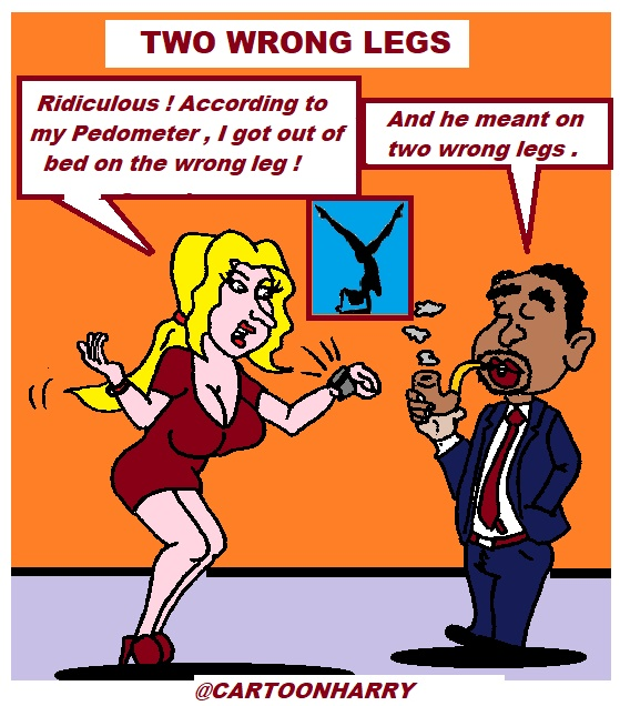 Cartoon: Two Wrong Legs 1