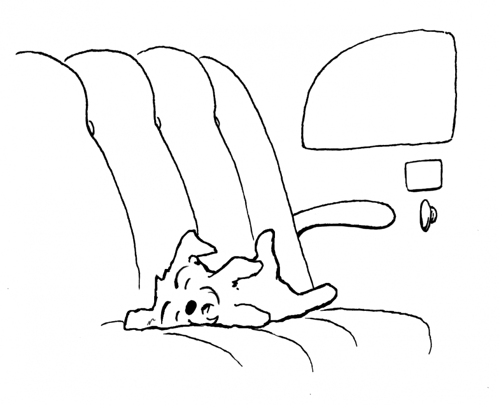 Illustration: Asleep in the back of Auntie's car 1