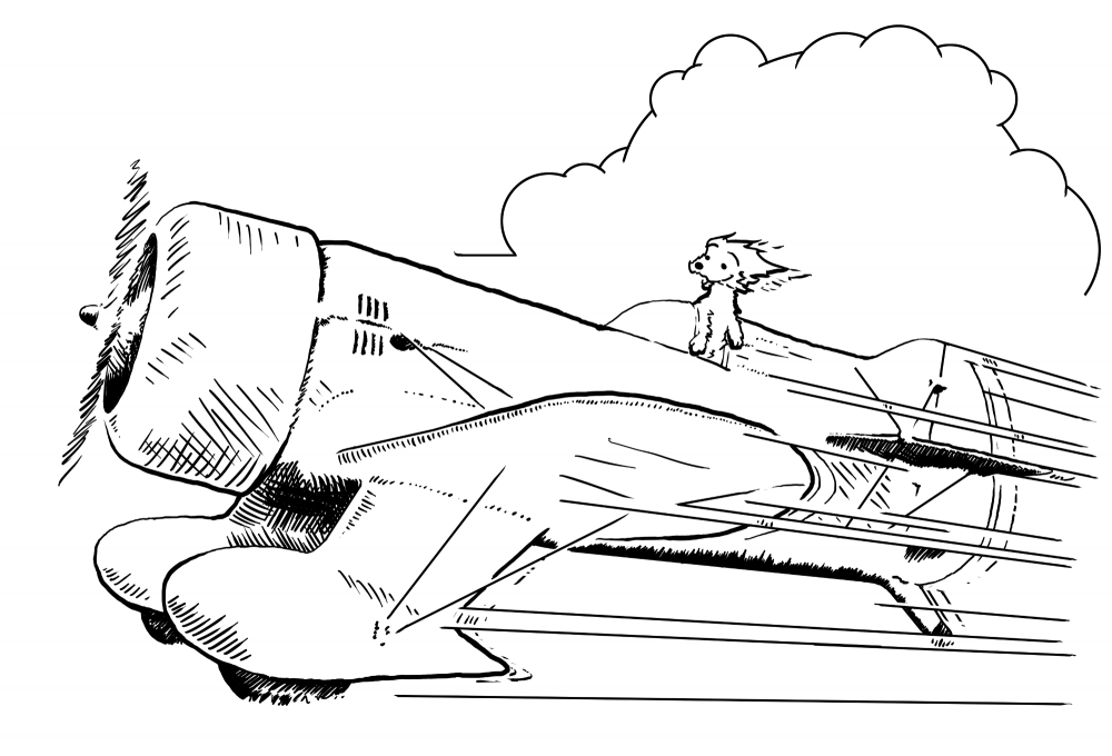 Illustration: The model airplane 1