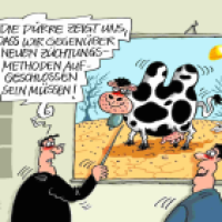 Bunte Kuh
