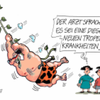 Tropenkrankheit