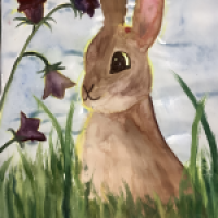 Kaninchen im Gras