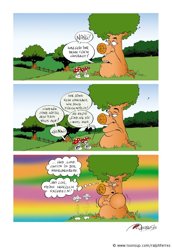 Comic: Fliegenpilze 1