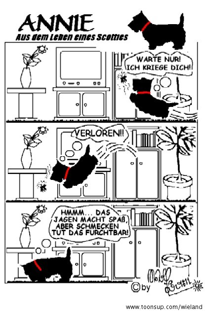 Cartoon: Der Schneider 1