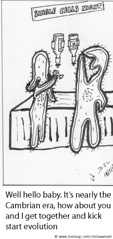 Cartoon: Bar Pre-Cambrian 1