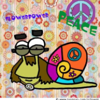 Hippie - Schnecke
