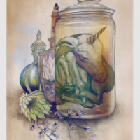 Illustrationen