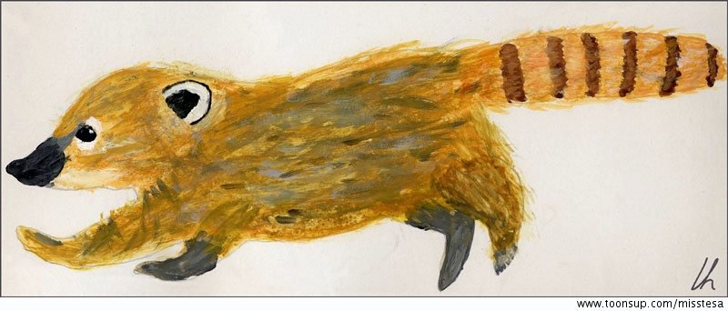 Illustration: Nasenbär 1