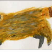 Nasenbär