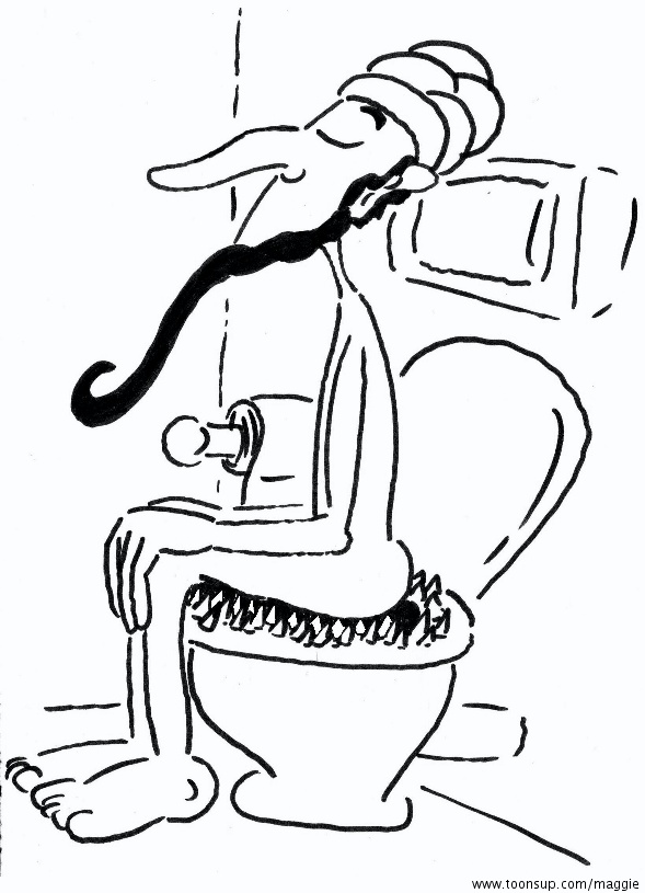 Cartoon: Fakir auf dem Klo 1