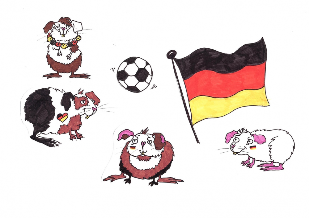 Illustration: Meerschweinchen WM 1