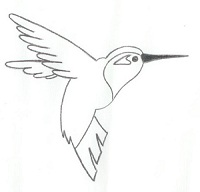 Other: Colibri-Studie 1