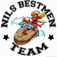 Nils Bestmen Team