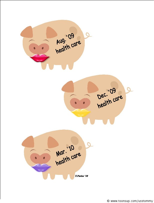 Cartoon: Lipstick on a pig - health care 1