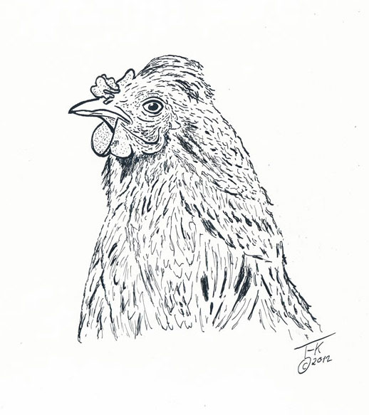 Other: Huhn 1