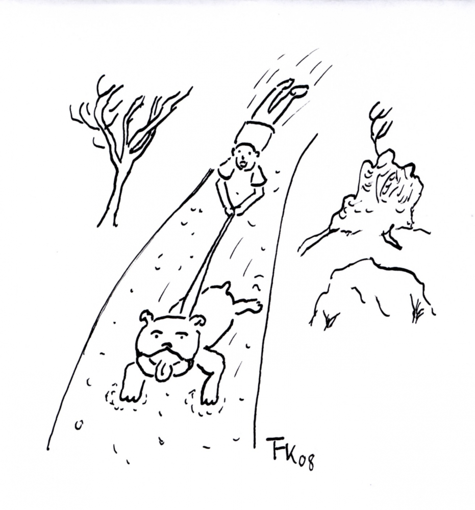 Cartoon: Nicht soooo schnell 1