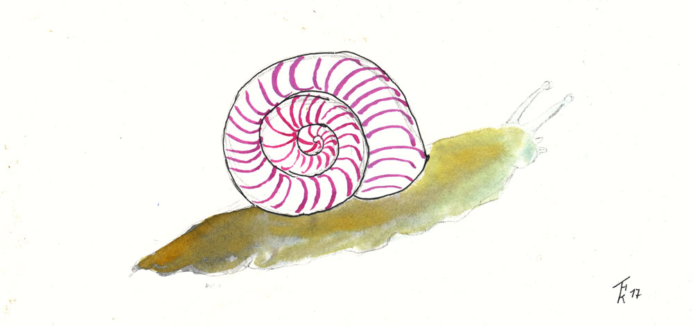 Illustration: Schneckenmode 3