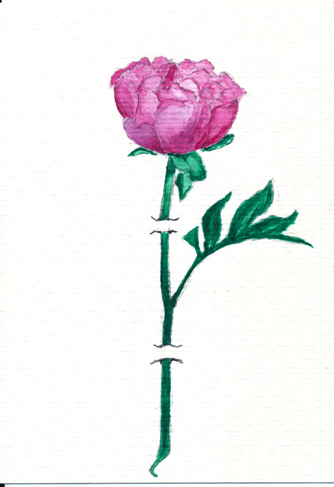 Illustration: Das erste Aquarellbild 1