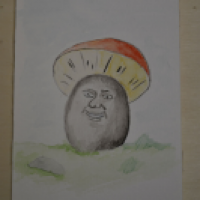 Herr Pilz