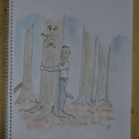 Bäume umarmen