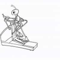 Workout