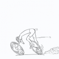 Der Rennfahrer