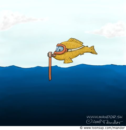 Cartoon: Diving 1