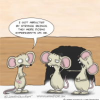 Laboratory mouse
