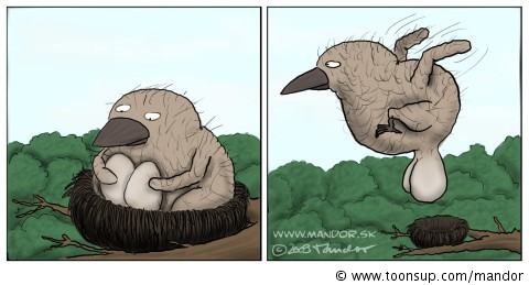 Cartoon: King of the sky 1