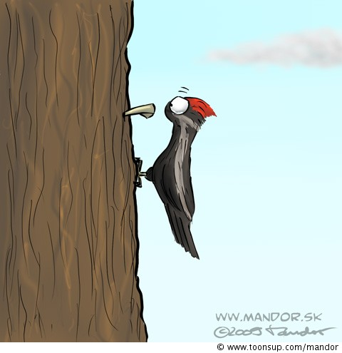 Cartoon: Woodpecker 1