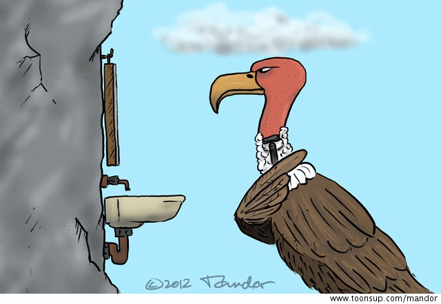Cartoon: Vulture 1
