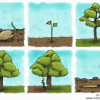 Life of the tree