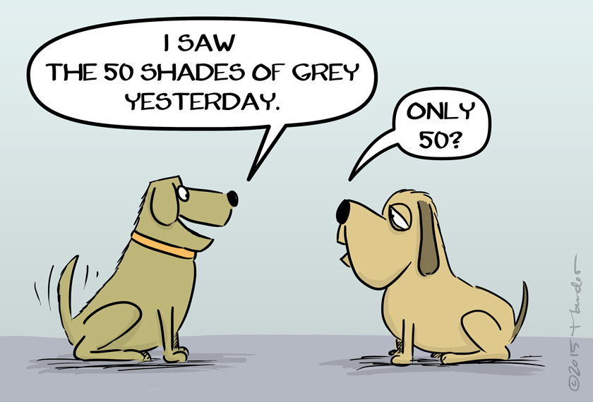 Cartoon: 50 shades of grey 1