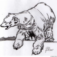 Der Eisbär