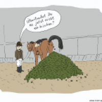 vierbeiner 1