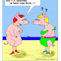 Schwein